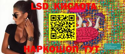 apvp Обь