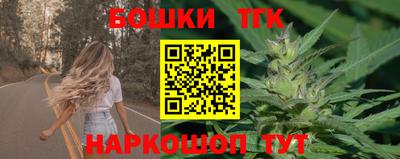 apvp Обь