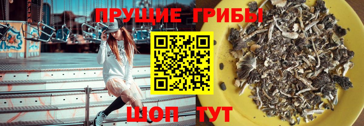 Псилоцибиновые грибы MAGIC MUSHROOMS Усолье-Сибирское
